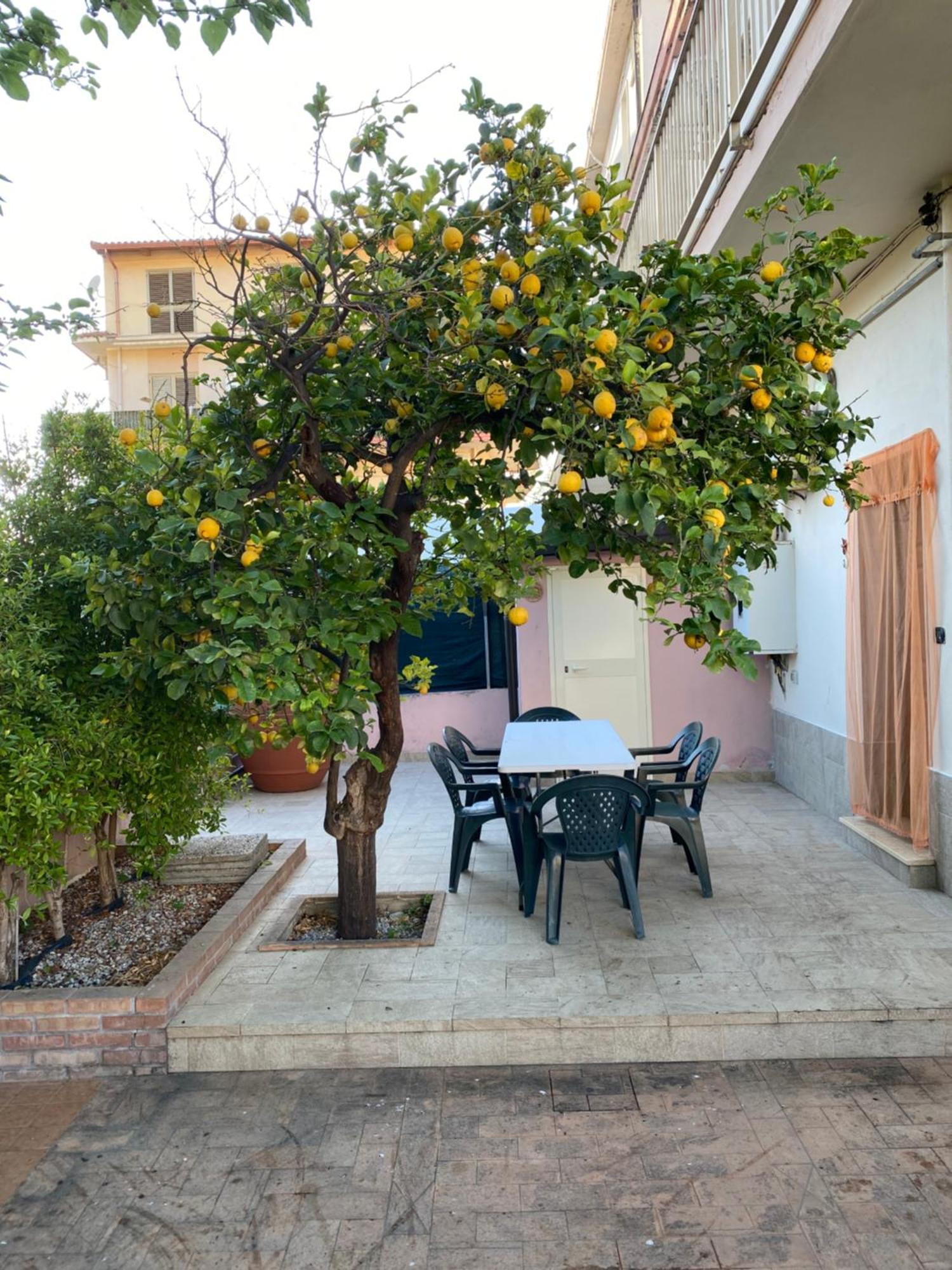 L'Albero Di Limoni Sul Mare Di Pizzo Villa Ngoại thất bức ảnh