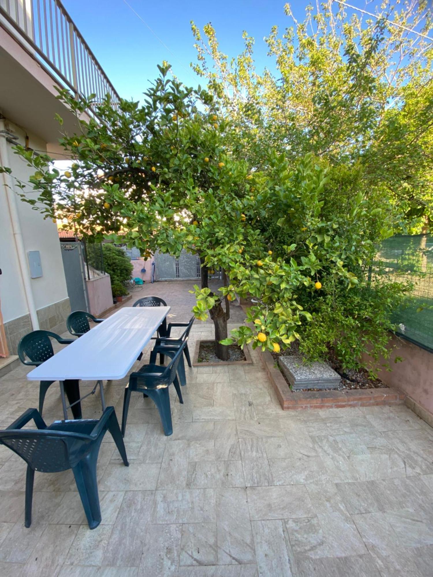 L'Albero Di Limoni Sul Mare Di Pizzo Villa Ngoại thất bức ảnh